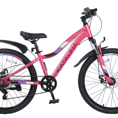 Велосипед TechTeam KATALINA 24"